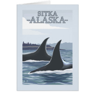 Ballenas orcas #1 - Sitka, Alaska