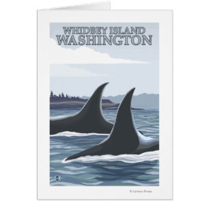 Ballenas Orcas #1 - Whidbey, Washington
