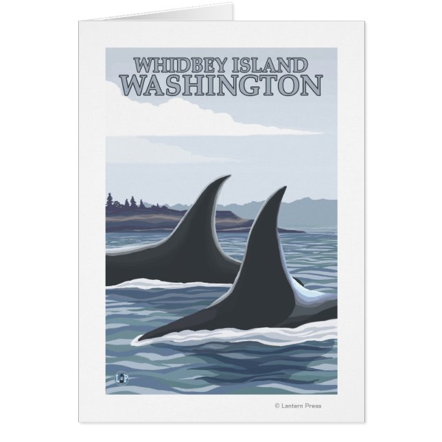 Ballenas Orcas #1 - Whidbey, Washington (Frente)