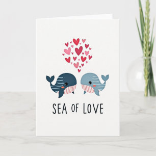 Ballenas Rayadas Aman Tarjeta