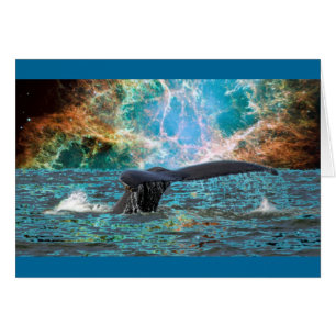 Ballenas y Supernova