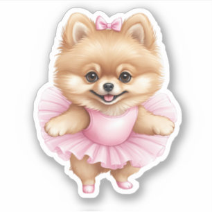 Ballerina Pomerania Pegatina 3 x 3