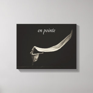 Ballet de arte de danza