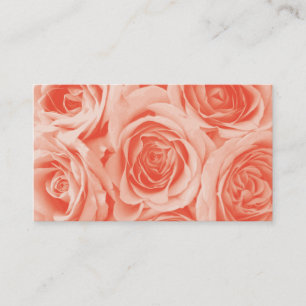 Balneario - tarjeta de visita de los rosas del