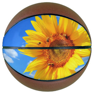 Balón De Baloncesto Baloncesto de girasol y abejas
