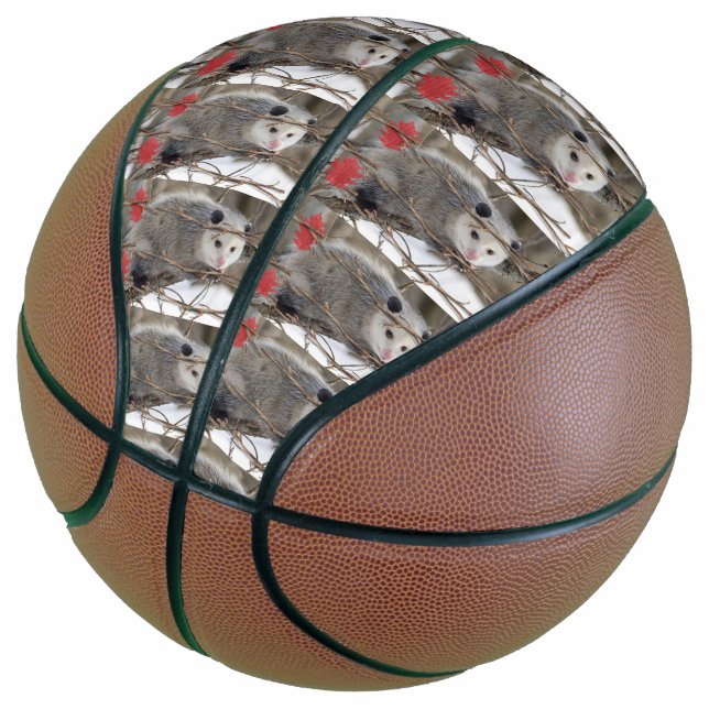 Balón De Baloncesto Baloncesto Opossum (Angular)