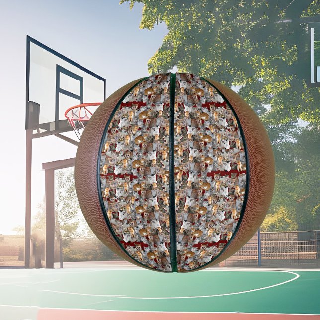 Balón De Baloncesto Collage de gatos de corte (Subido por el creador)