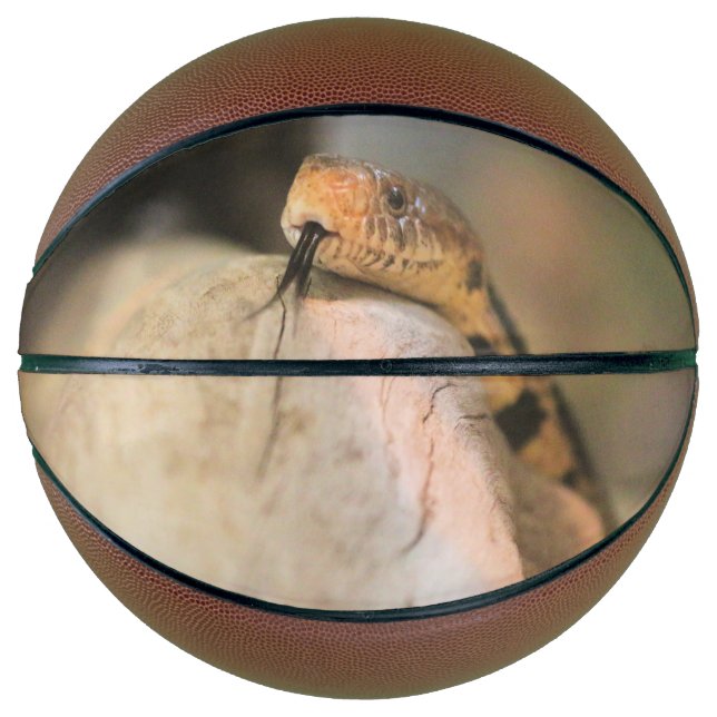 Balón De Baloncesto Corney (Anverso)