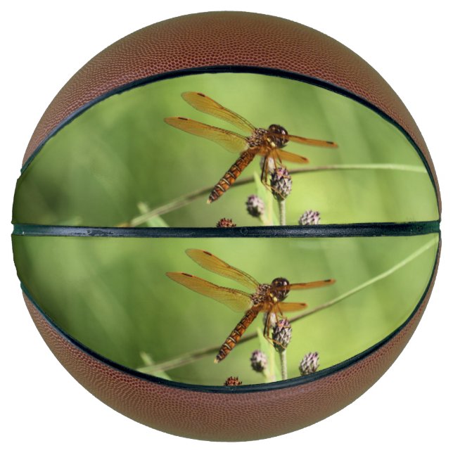 Balón De Baloncesto Dragón (Anverso)