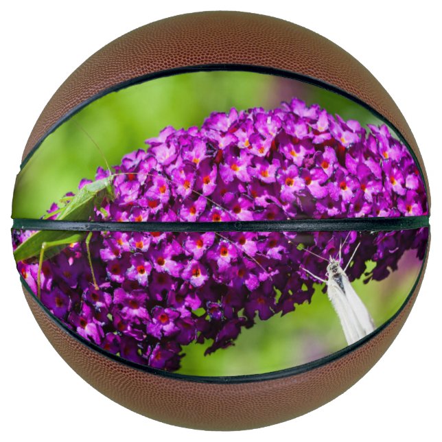 Balón De Baloncesto energía katydid (Anverso)
