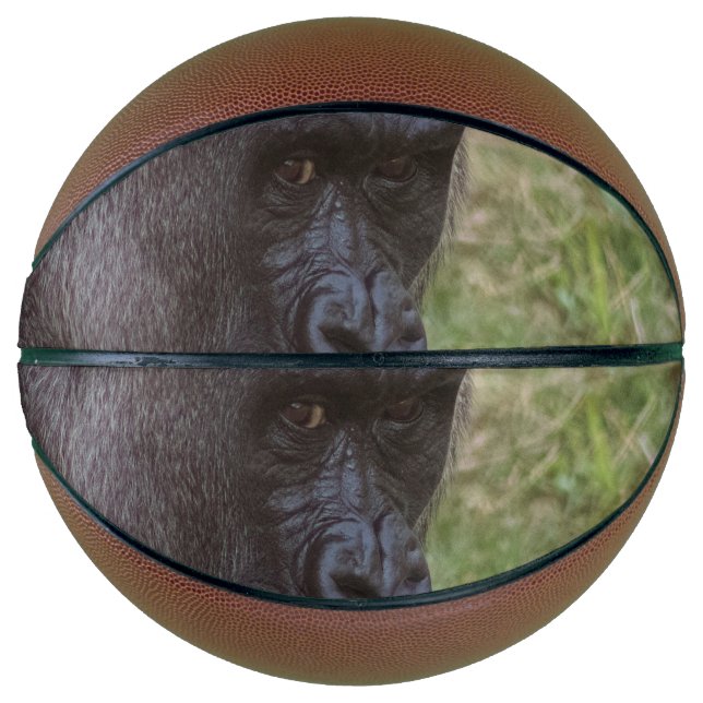 Balón De Baloncesto Gorila (Anverso)