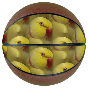 Balón De Baloncesto Loro amarillo pálido lutino indio