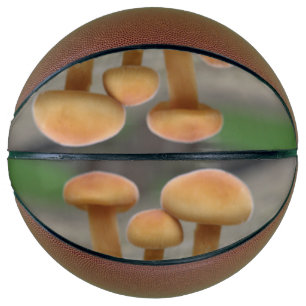 Balón De Baloncesto Pequeñas toadstoides macrobolas