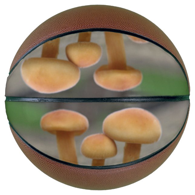 Balón De Baloncesto Pequeñas toadstoides macrobolas (Anverso)