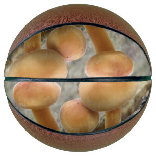 Balón De Baloncesto Toadstools en las bolas de básquet de maletero TRe
