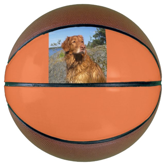 Balón De Baloncesto tólar mojado (Anverso)