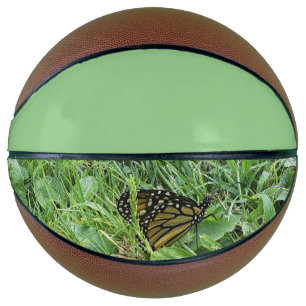 Balón De Baloncesto Una mariposa monarca
