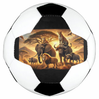 Balón de fútbol