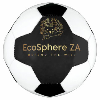 Balón de fútbol