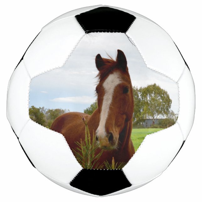 Balón De Fútbol "A Whipwhof Nature: A Chestnut Horse and Banksia, (Anverso)