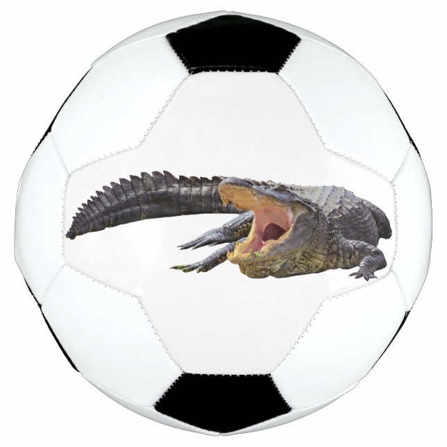 Balón De Fútbol Aligador americano - Fauna de Florida (Anverso)