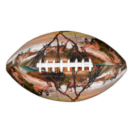 Balón De Fútbol Americano Aceite De Canguro Pintando La Playa,