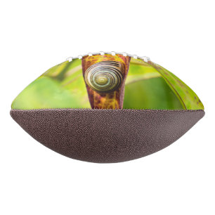 Balón De Fútbol Americano apego