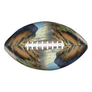 Balón De Fútbol Americano Dunas Costeras Holandesas