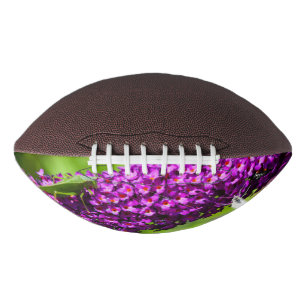 Balón De Fútbol Americano energía katydid