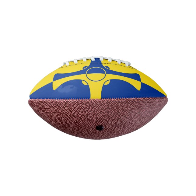 Balón De Fútbol Americano Flag of County Durham, England Mini Football (Girado 270)