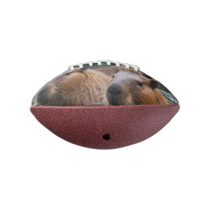 Balón De Fútbol Americano Natación De Capybaras En El Río,