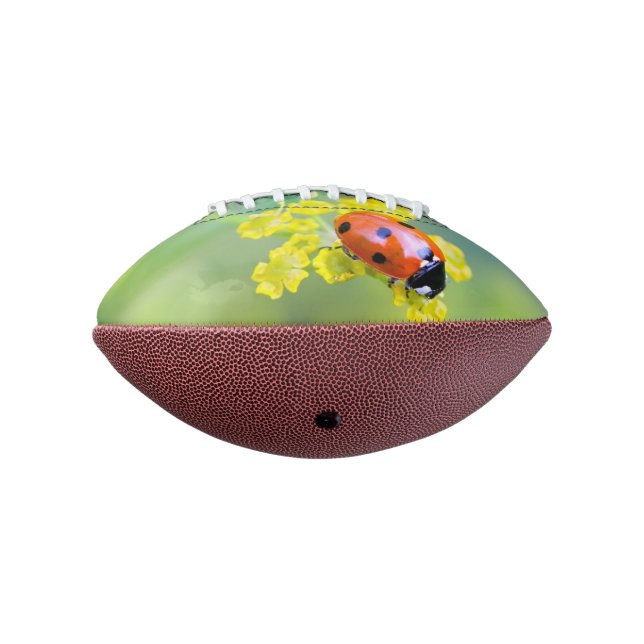 Balón De Fútbol Americano señora de arriba (Girado 270)