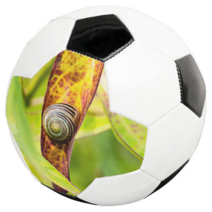 Balón De Fútbol apego tranquilo