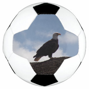 Balón De Fútbol Balcón de fútbol del águila calva