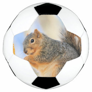 Balón De Fútbol Baloncesto actual