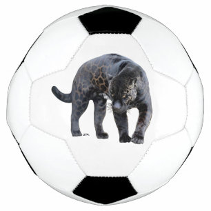 Balón De Fútbol Baloncesto de fútbol blanco Jaguar Diablo