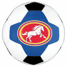 Bola de fútbol de Medallón de Caballo, bola de cam