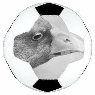 Balón De Fútbol BW Goose