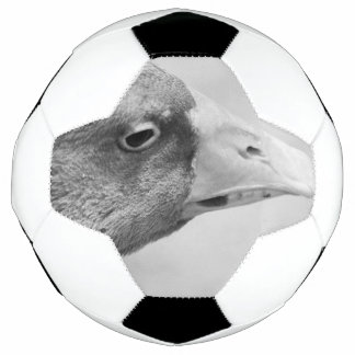 Balón De Fútbol BW Goose