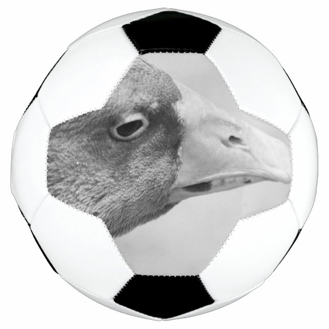 Balón De Fútbol BW Goose (Anverso)
