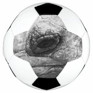 Balón De Fútbol BW Tortoise
