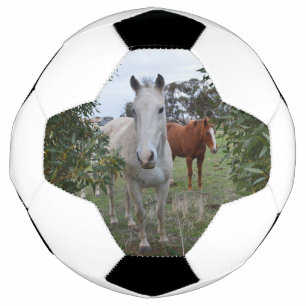 Balón De Fútbol Caballos de Pekaboo, Soccerball