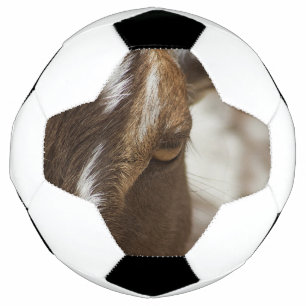 Balón De Fútbol Cabra