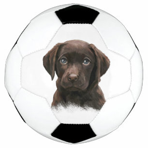 Balón De Fútbol Cachorro de chocolate Labrador