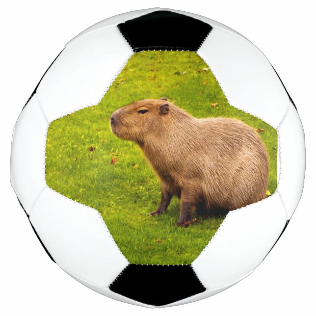 Balón De Fútbol Carpincho (Anverso)