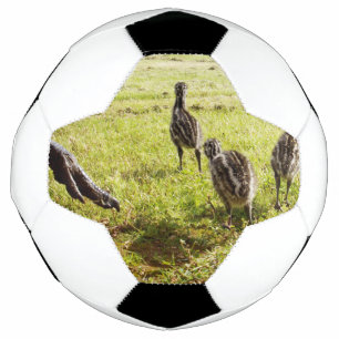 Balón De Fútbol Chicas De Bebé Y Pie Grande,