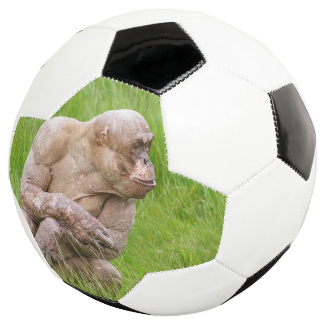 Balón De Fútbol Chimpanzee sin pelo