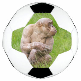 Balón De Fútbol Chimpanzee sin pelo