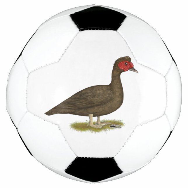 Balón De Fútbol Chocolate Muscovy Drake (Anverso)