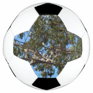Balón De Fútbol Cockatoos salvajes blancos australianos,